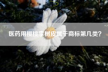 医药用樱桃李树皮属于商标第几类？