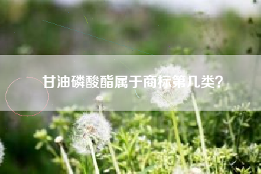 甘油磷酸酯属于商标第几类？