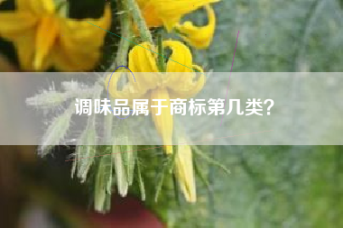 调味品属于商标第几类？