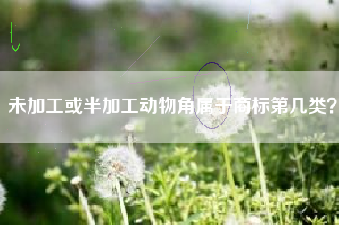 未加工或半加工动物角属于商标第几类？