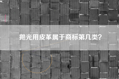 抛光用皮革属于商标第几类？