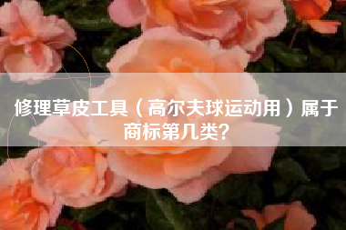 修理草皮工具（高尔夫球运动用）属于商标第几类？