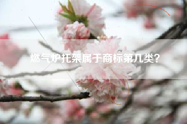 燃气炉托架属于商标第几类？