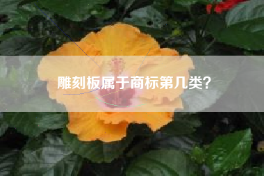 雕刻板属于商标第几类？