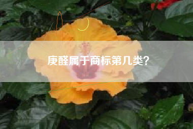 庚醛属于商标第几类？
