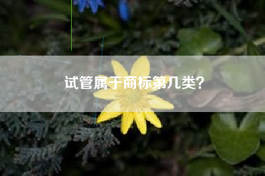试管属于商标第几类？