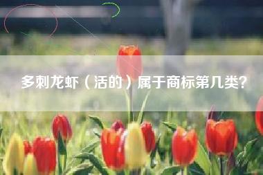 多刺龙虾（活的）属于商标第几类？