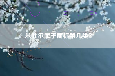 米吐尔属于商标第几类？