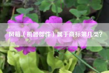 风箱（机器部件）属于商标第几类？