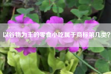 以谷物为主的零食小吃属于商标第几类？