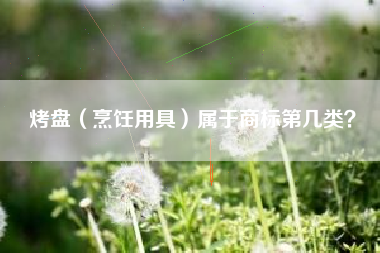 烤盘（烹饪用具）属于商标第几类？