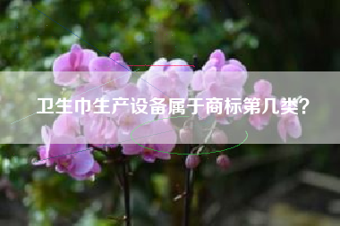 卫生巾生产设备属于商标第几类？