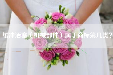缓冲活塞（机械部件）属于商标第几类？