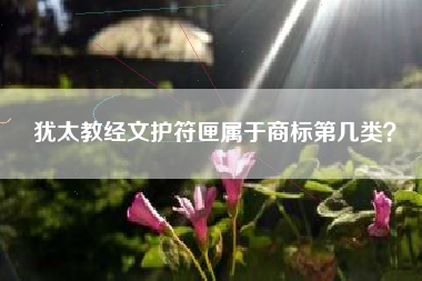 犹太教经文护符匣属于商标第几类？