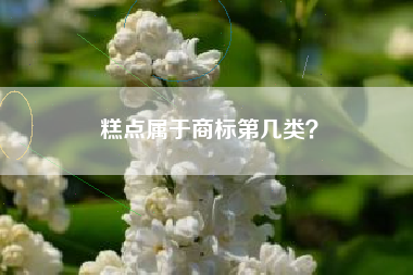 糕点属于商标第几类? 糕点属于商标第几类?