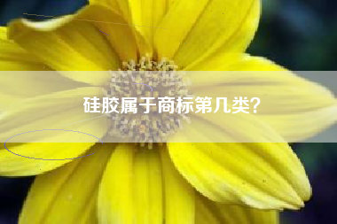 硅胶属于商标第几类？