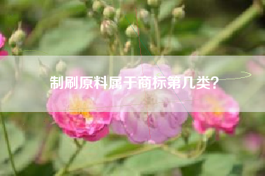 制刷原料属于商标第几类？