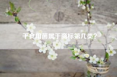 干食用菌属于商标第几类？