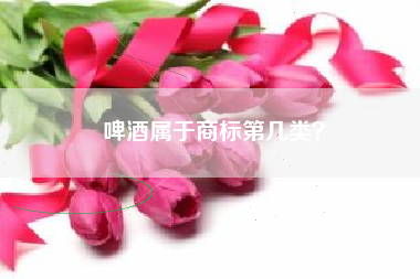 啤酒属于商标第几类？