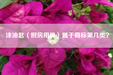 涂油匙（厨房用具）属于商标第几类？
