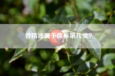 香精油属于商标第几类？