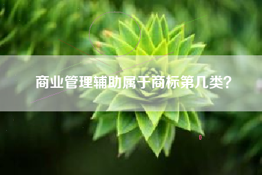 商业管理辅助属于商标第几类？