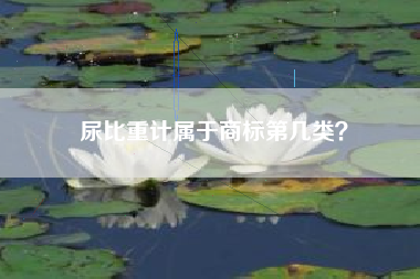 尿比重计属于商标第几类？
