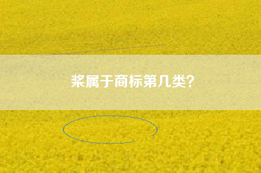 桨属于商标第几类？