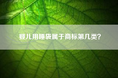 婴儿用睡袋属于商标第几类？