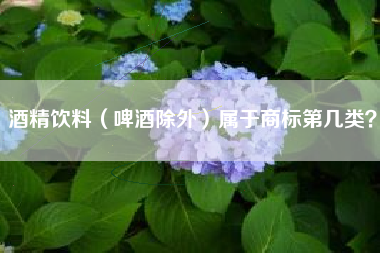 酒精饮料（啤酒除外）属于商标第几类？