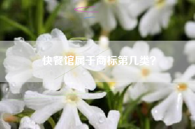 快餐馆属于商标第几类？