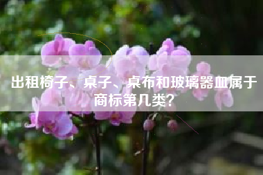 出租椅子、桌子、桌布和玻璃器皿属于商标第几类？
