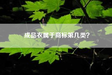 成品衣属于商标第几类？