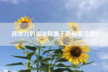 连冰刀的溜冰鞋属于商标第几类？