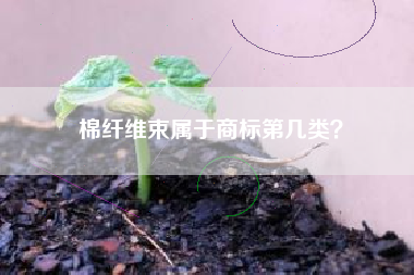 棉纤维束属于商标第几类？