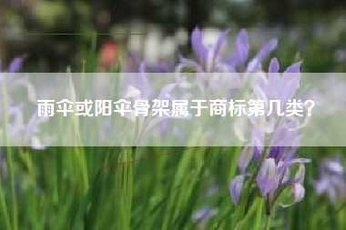 雨伞或阳伞骨架属于商标第几类？