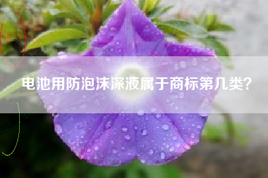 电池用防泡沫深液属于商标第几类？