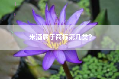 米酒属于商标第几类？