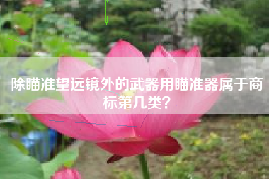 除瞄准望远镜外的武器用瞄准器属于商标第几类？