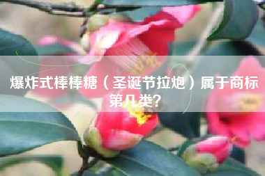 爆炸式棒棒糖（圣诞节拉炮）属于商标第几类？