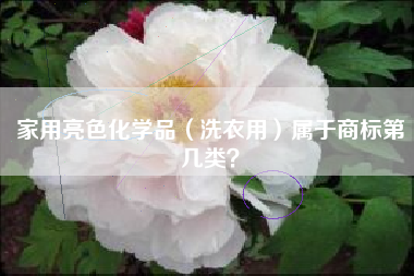 家用亮色化学品（洗衣用）属于商标第几类？