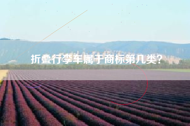 折叠行李车属于商标第几类？