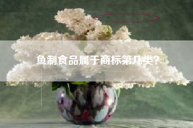 鱼制食品属于商标第几类？