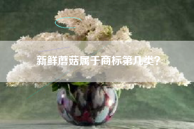 新鲜蘑菇属于商标第几类? 新鲜蘑菇属于商标第几类?