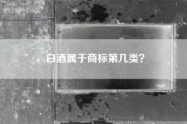 白酒属于商标第几类？