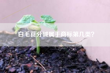 白毛茛分碱属于商标第几类？