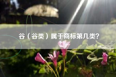 谷（谷类）属于商标第几类？