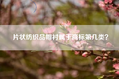 片状纺织品帽衬属于商标第几类？