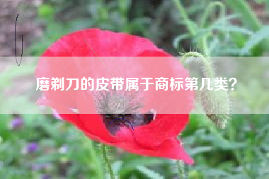 磨剃刀的皮带属于商标第几类？