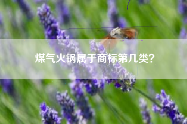 煤气火锅属于商标第几类？